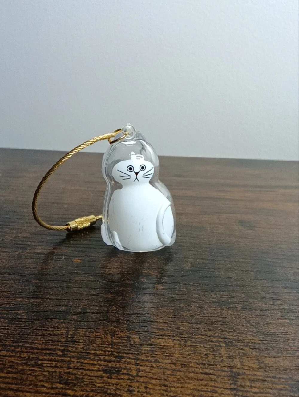 Pet Fur Memorial Transparent 😺 Cat Hair Capsule Keychain